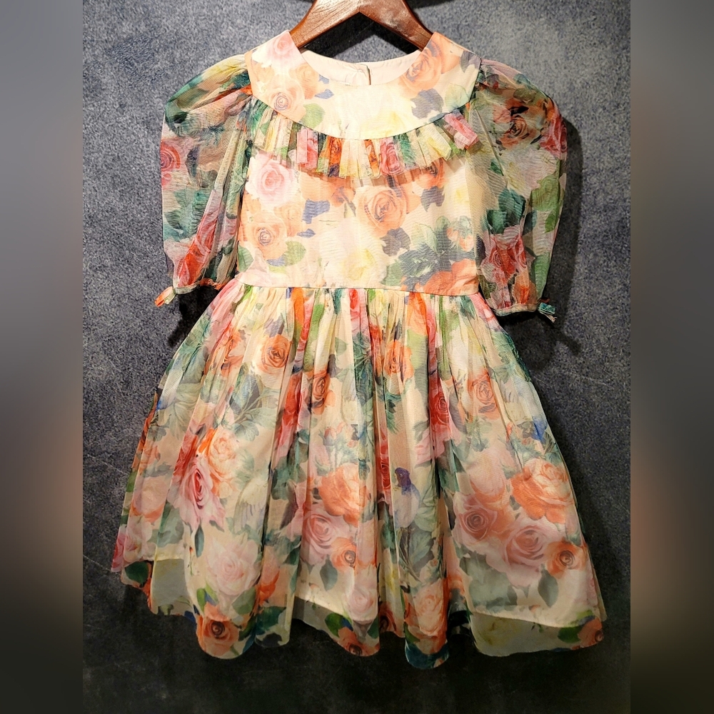 Pippa & Julie Girl Size 7 Dress Sheer Puff Rose Floral Tulle Double Lined Button